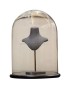 Dome Glass Jewelry Display Case