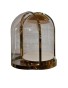 Modern Dome Glass Jewelry Display Case