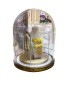 New Dome Glass Jewelry Display Case