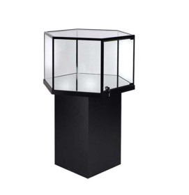 High End Modern Professional Museum Pedestal Display Showcase