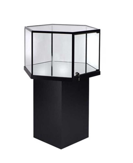 High End Modern Professional Museum Pedestal Display Showcase