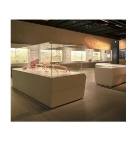 High End Modern Professional Museum Showcase Design