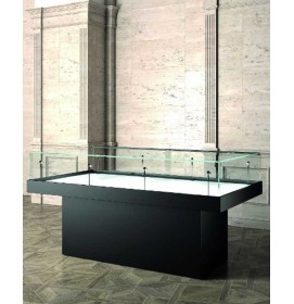 Creative Design Modern Professional Museum Display Cabinet
