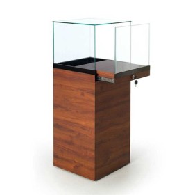 Luxus Kreatives Design Holz Glas Schmuck Shop Display Theke Vitrine