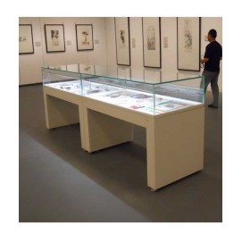 High End Modern Professional Museum Exhibit Cases