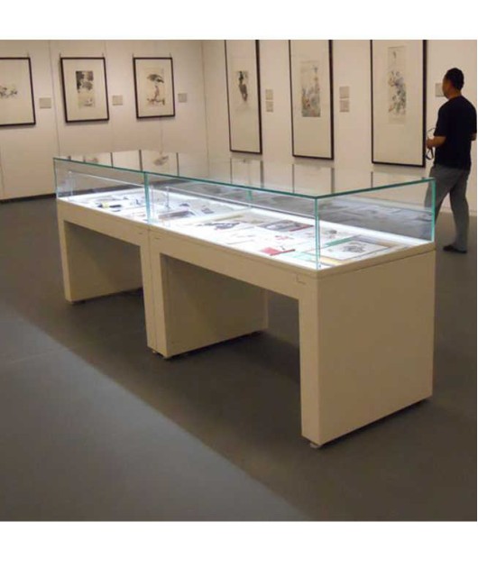 High End Modern Professional Museum Exhibit Cases