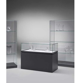 High End Modern Professional Museum Quality Glass Display Cases