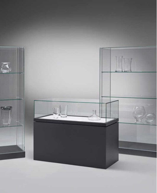 High End Modern Professional Museum Quality Glass Display Cases