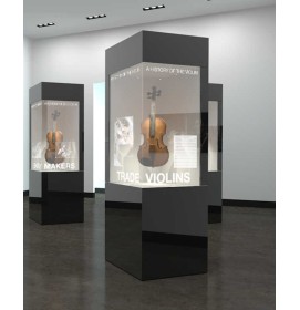 Creative Modern Custom Wooden Glass Museum Quality Display Cases