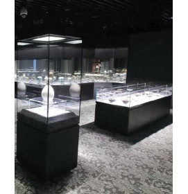 Creative Design Modern Custom Museum Quality Glass Display Cases